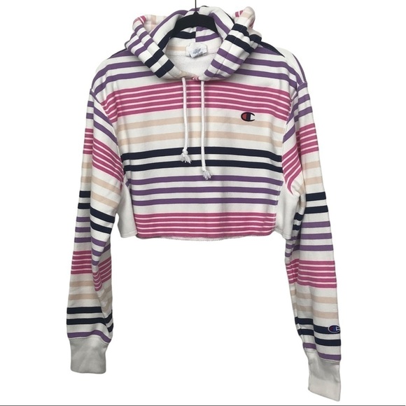 Champion UO Striped Cropped Reverse Weave Hoodie XS - Picture 1 of 12